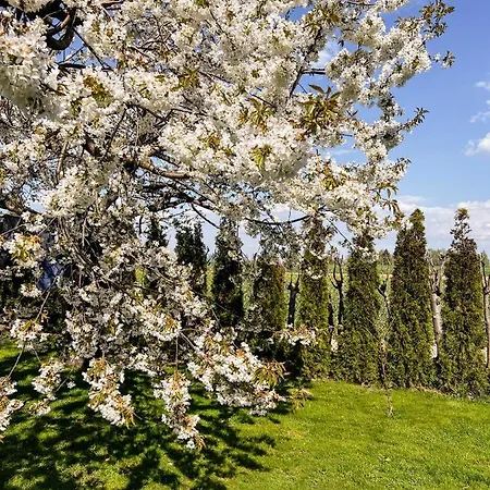 Pod Lasem Люблін