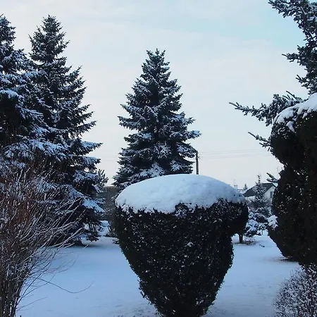 Pod Lasem Люблін