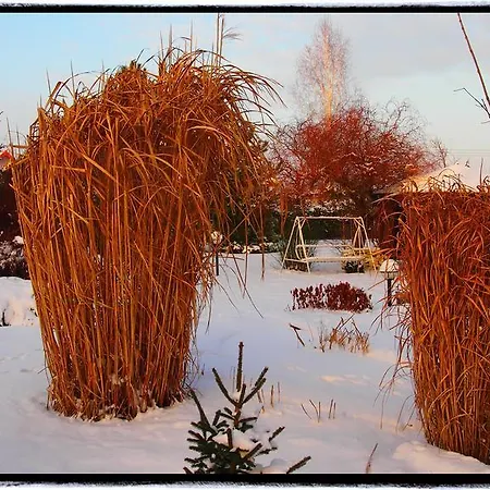 Проживання в сім'ї Pod Lasem